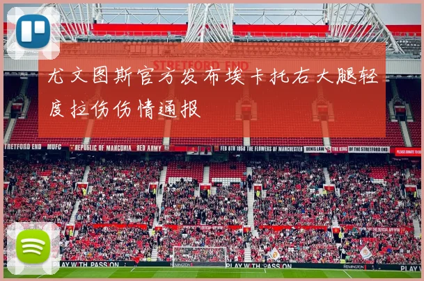 尤文图斯官方发布埃卡托右大腿轻度拉伤伤情通报