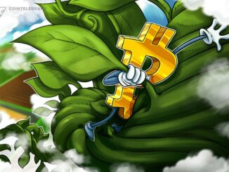Bitcoin 'Santa rally' pauses at $51.5K as funds bet on a sub-$60K BTC price for January 2022